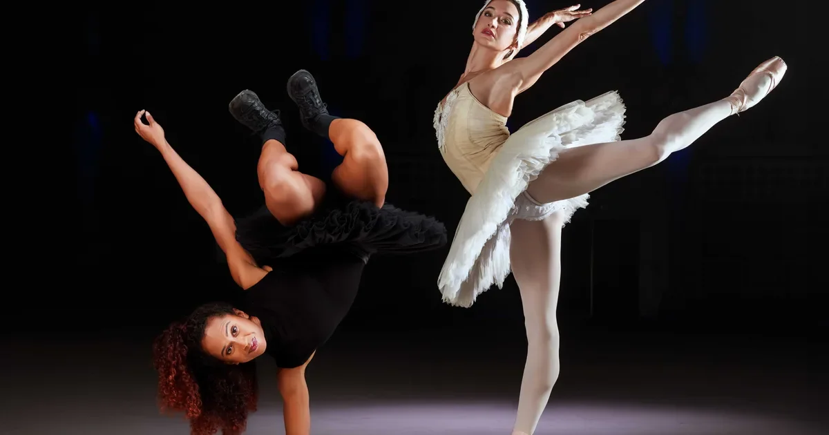 Swan Lake Remixed for ADE - Extra show flyer