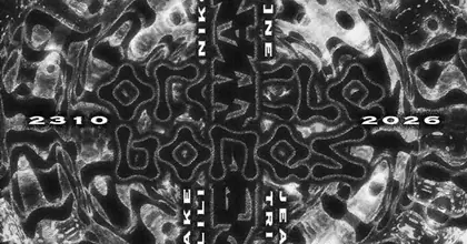 HYPERWAVES X Oracle Bones